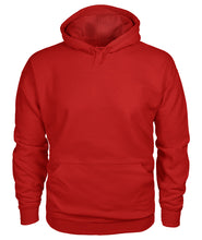 Carl Harvey Instruments Hoodie Back Logo